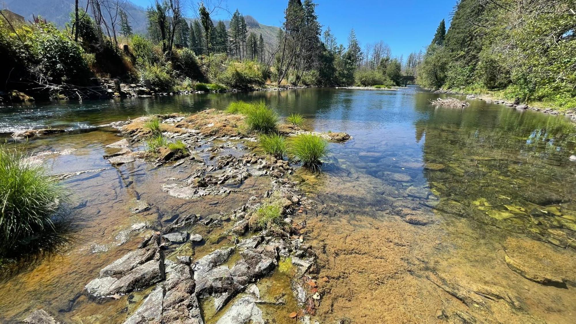 Mckenzie River Mountain Resort Blue River Екстериор снимка