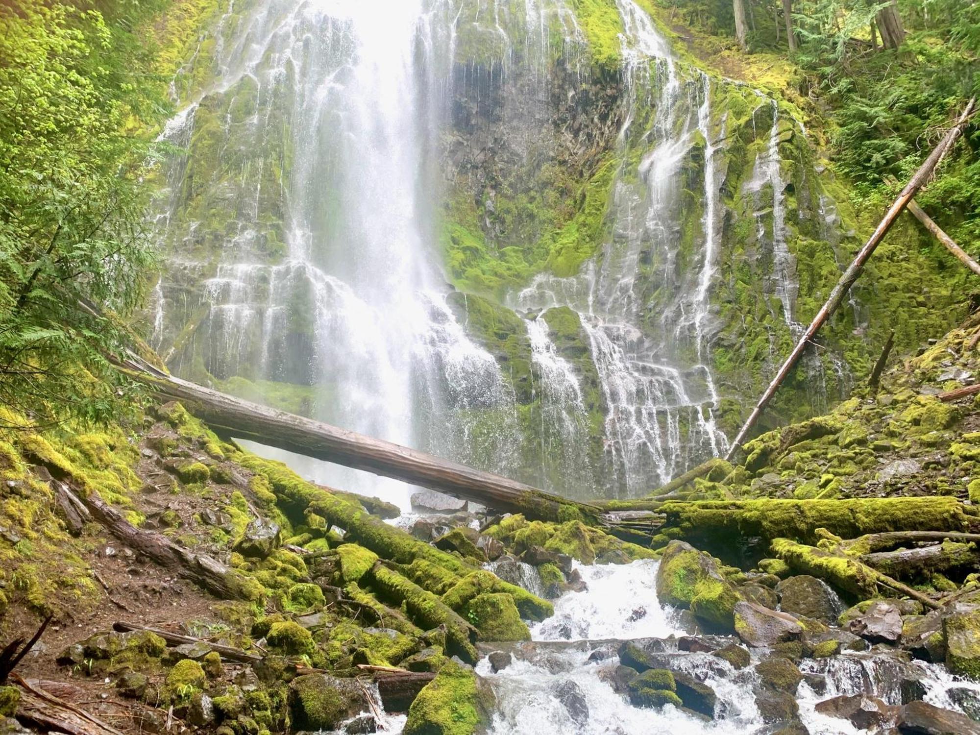 Mckenzie River Mountain Resort Blue River Екстериор снимка