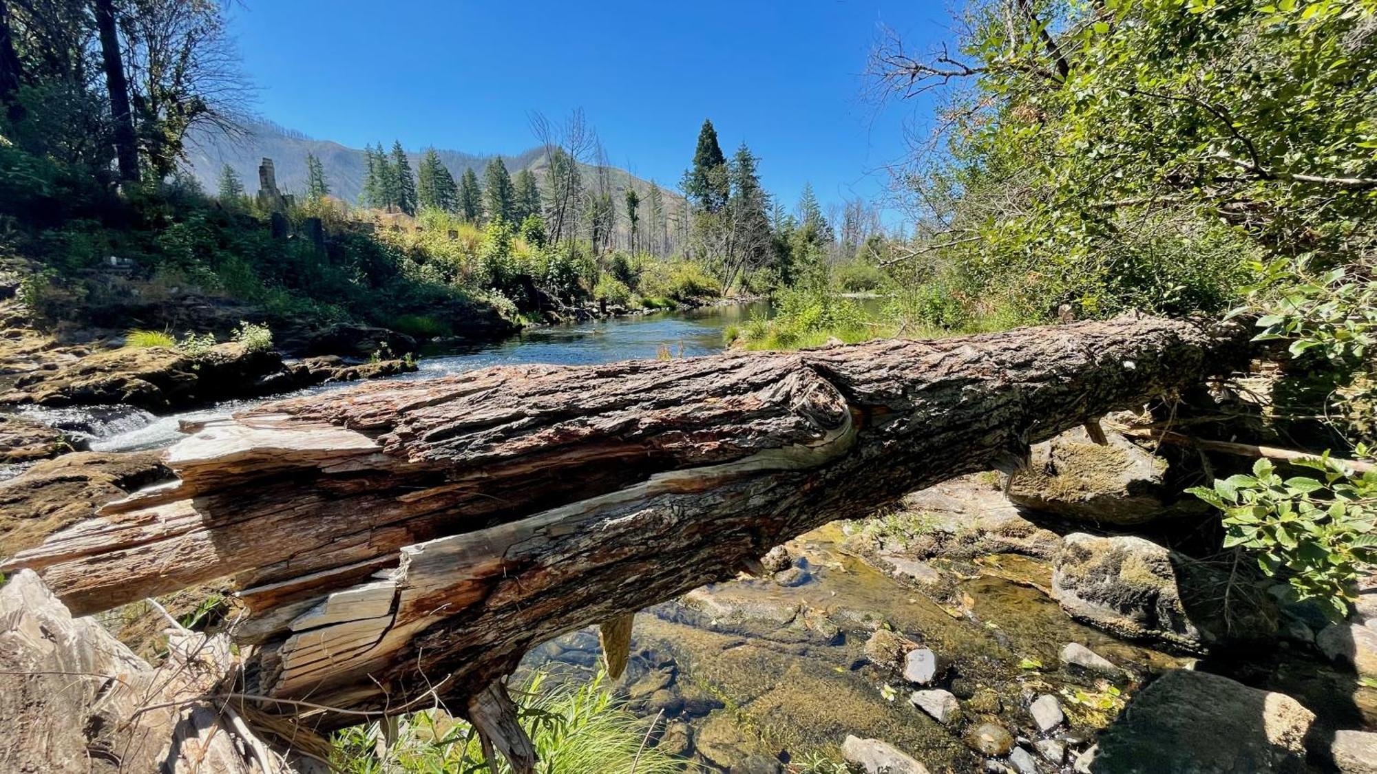 Mckenzie River Mountain Resort Blue River Екстериор снимка